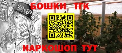 шишки Пушкино