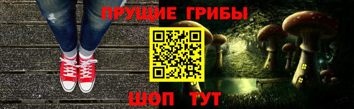 Псилоцибиновые грибы GOLDEN TEACHER Сокол