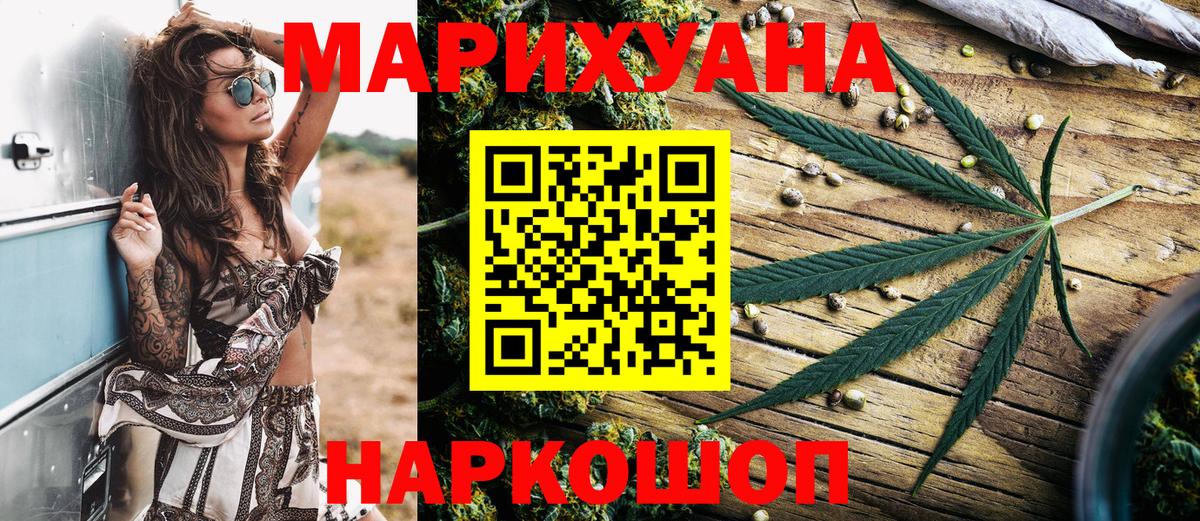 Канабис сатива Сокол